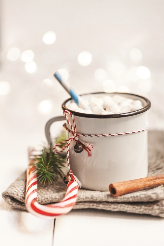 Chocolat chaud au parfum de canne de Noël