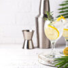 Lemon Gin Spritz - Image 2